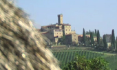 banfi2